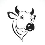 vetguru_01 인스타그램 프로필 사진