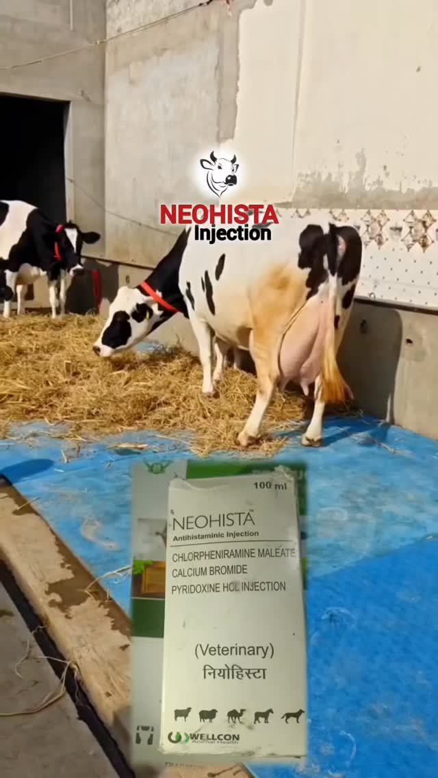 vetguru_01 게시물 이미지: NEOHISTA Injection Veterinary use