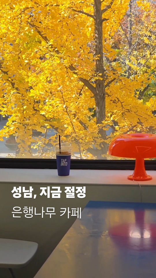 vibeseongnam 게시물 이미지: 🟡 지금, 성남 11월 가볼만한 카페 🟡

오후1~2시 햇살에 더 화사해지는...