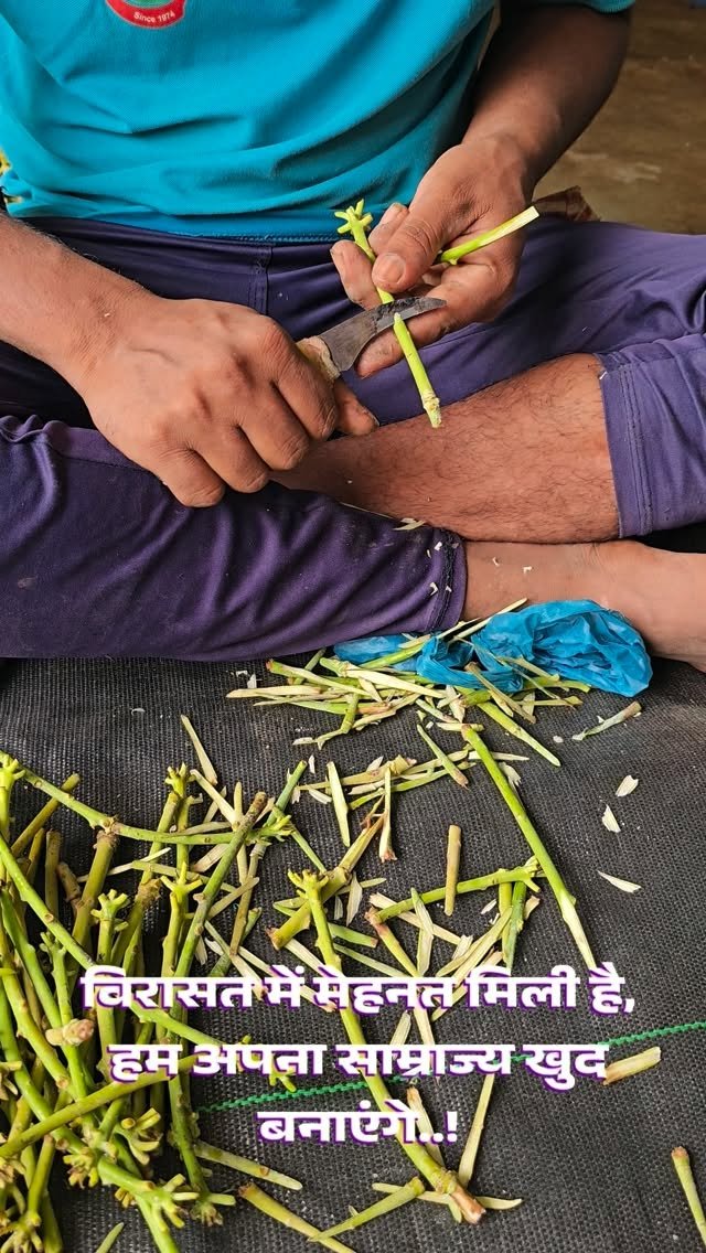 vibrant_orchard09 게시물 이미지: विरासत में मेहनत मिली है, हम अपना साम्राज्य...