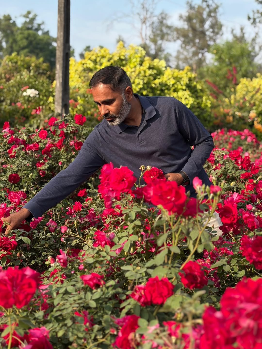 Photo by Patel Brijesh on February 13, 2026. May be an image of rose, park and text.