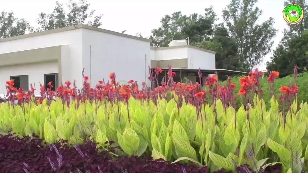 vibrant_orchard09 게시물 이미지: 