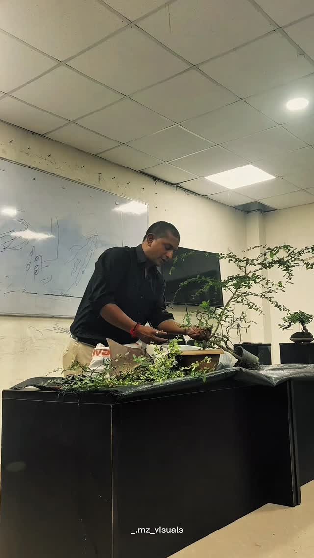 vibrant_orchard09 게시물 이미지: ✨ "A tree in a tray — that's bonsai."