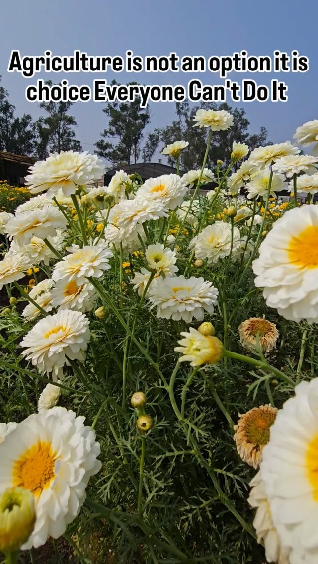 vibrant_orchard09 게시물 이미지: Agriculture is not an option it is choice...