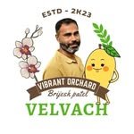 vibrant_orchard09 인스타그램 프로필 사진