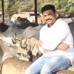 vickypansarivlogs 인스타그램 프로필 사진