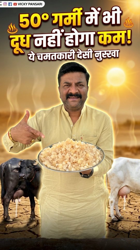 vickypansarivlogs 게시물 이미지: 50° डिग्री की गर्मी में भी आपके पशुओं का दूध...