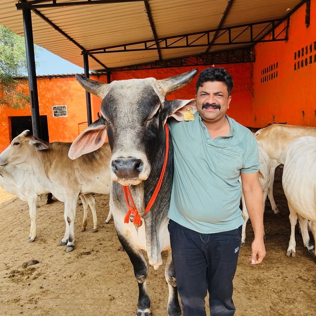 Photo by Vicky Pansari vlogs on December 01, 2025. May be an image of calf and text.