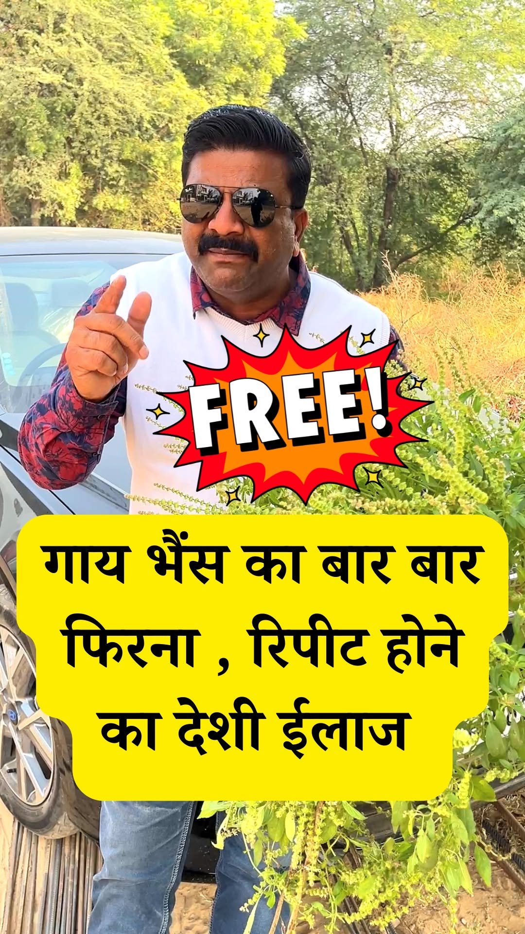 vickypansarivlogs 게시물 이미지: गाय भैंस बार बार फिरना, रिपीट होने का पक्का...