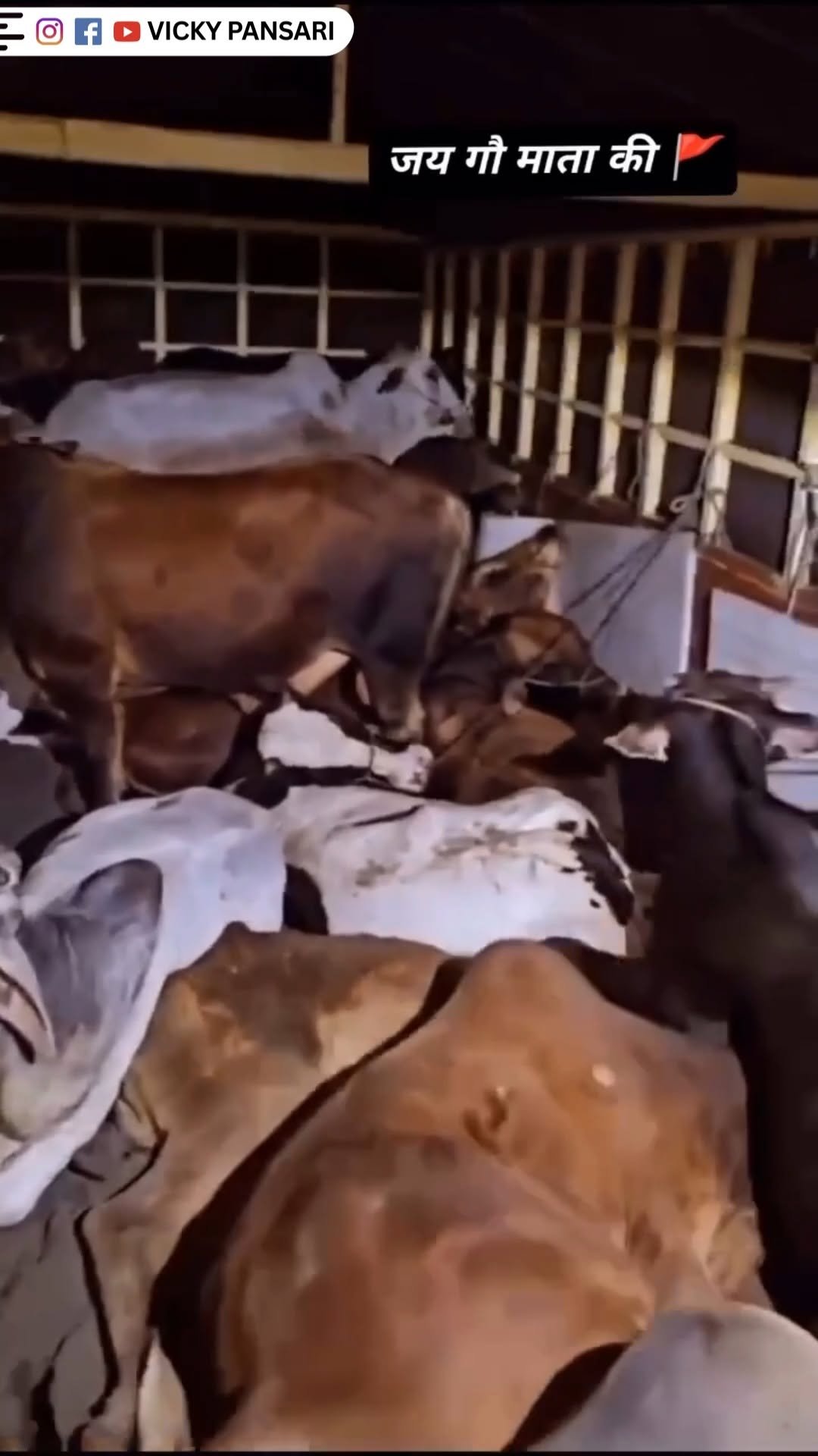 vickypansarivlogs 게시물 이미지: 24 घंटे सर पर कफन बाँधकर रखते है - ये है देश...