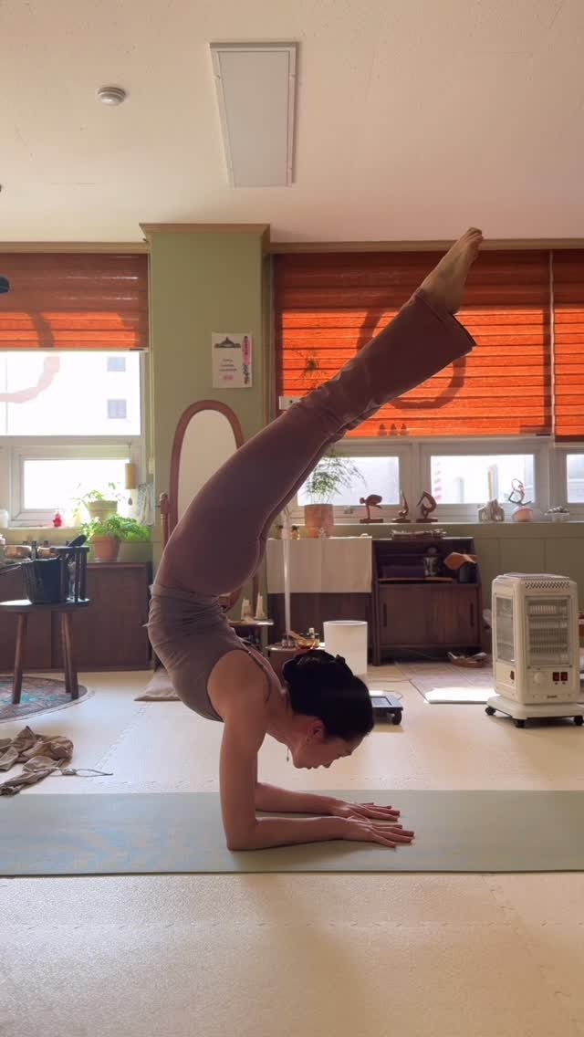 vidya__yoga 게시물 이미지: 🌾
들숨 - 멈춤 - 날숨 
창조 - 유지 - 파괴
♾️🤍♾️🤍♾️

#비디아박승아...