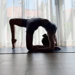 zinatrangyoga 프로필 사진