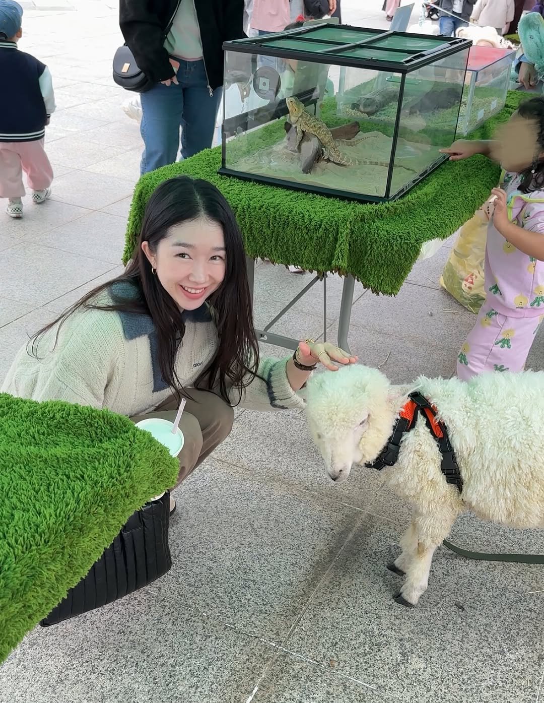 Photo by 비디아 on November 09, 2025. May be an image of sheep, Bedlington terrier, lamb and text.
