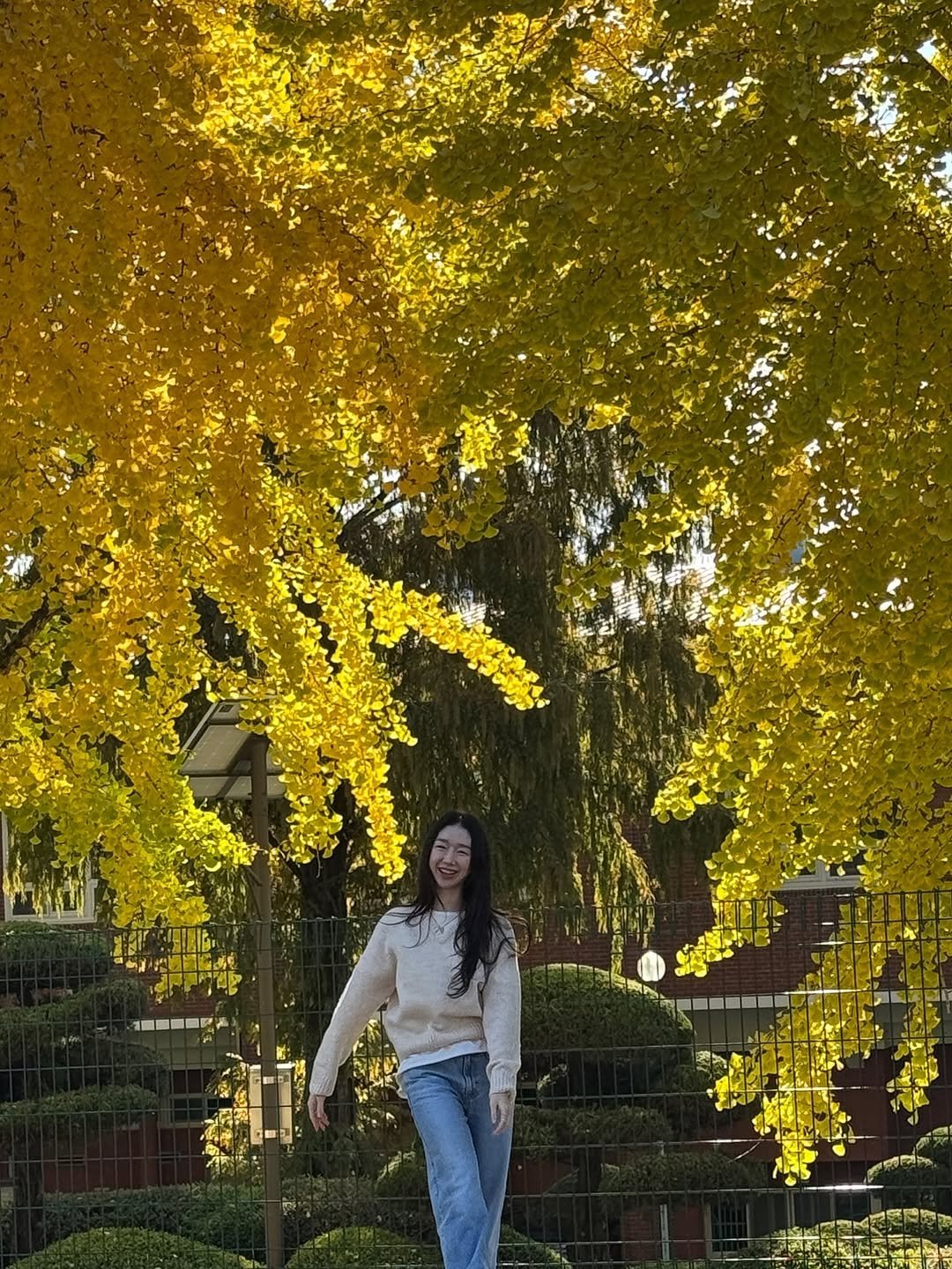 Photo by 비디아 on November 15, 2025. May be an image of text.