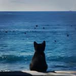 fr.racha 프로필 사진