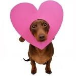 tontawan 프로필 사진