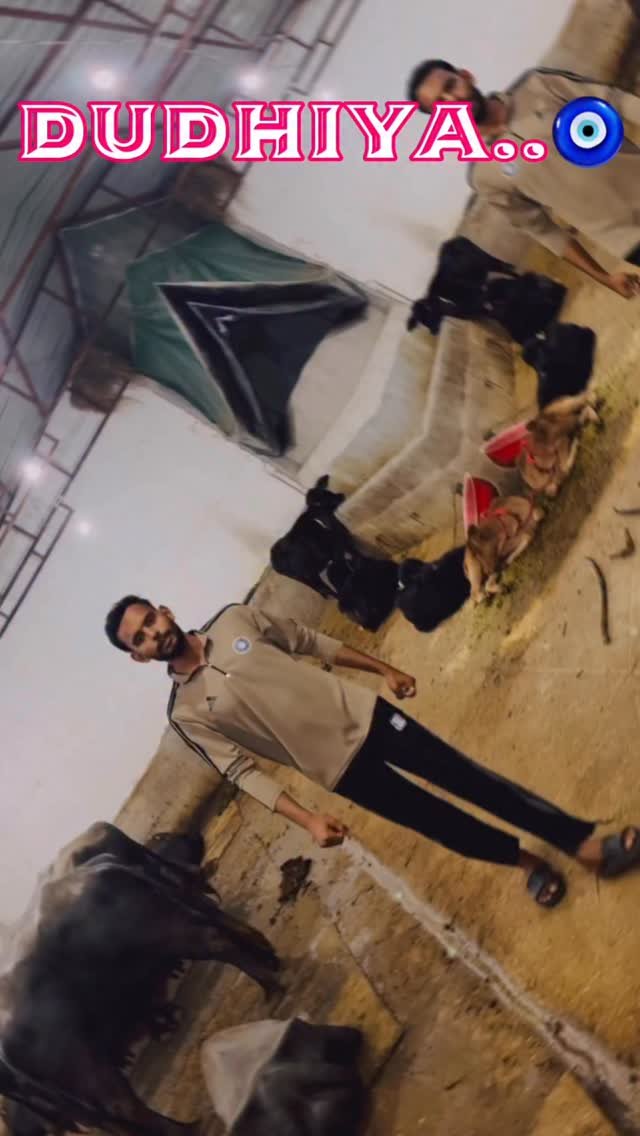 vineet_dairy_vlogs 게시물 이미지: Mera nom puchti h
#trendingreel #trendingsongs...