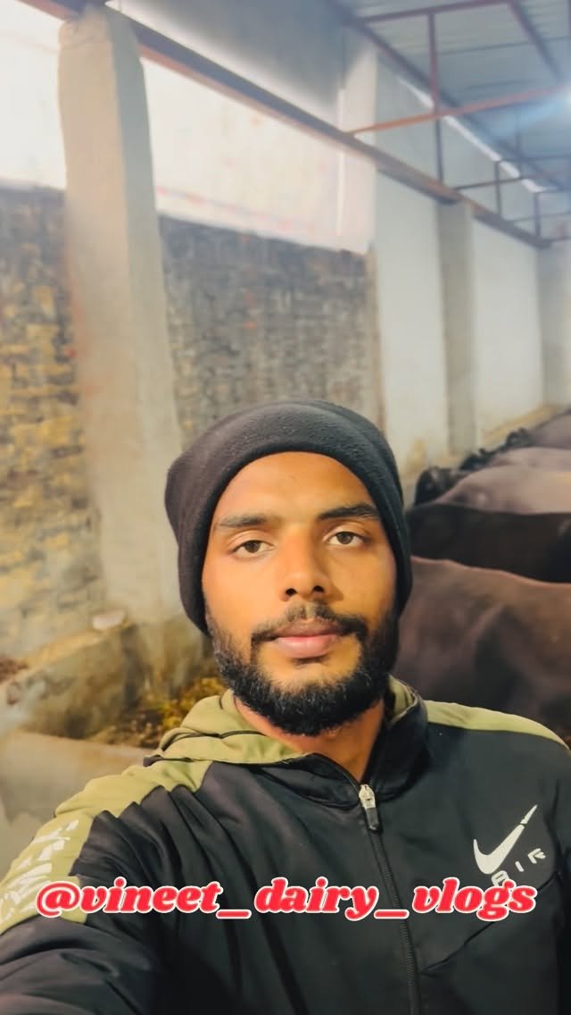 vineet_dairy_vlogs 게시물 이미지: Day 237 of starting my new dairy farm 
#dairy...