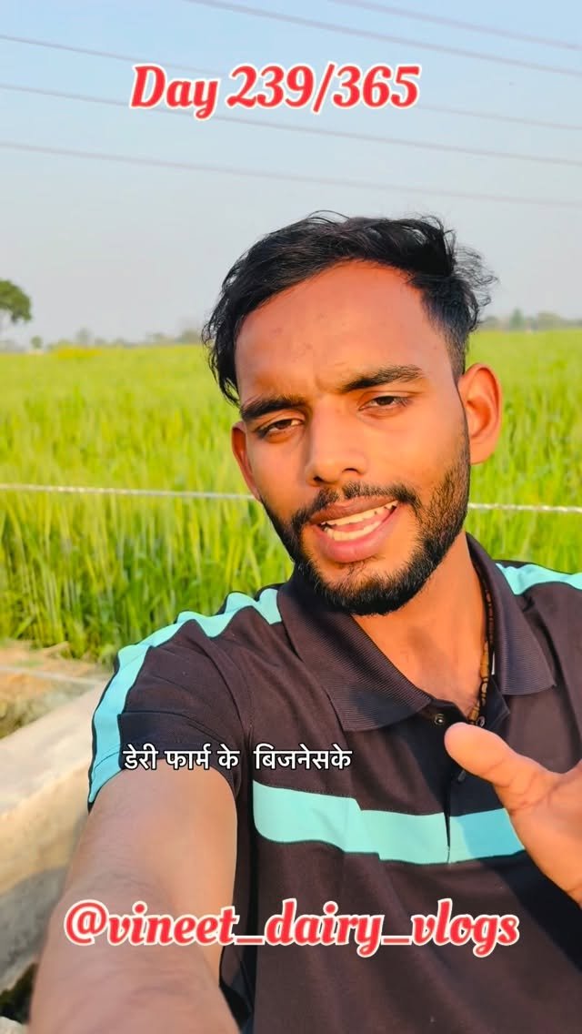 vineet_dairy_vlogs 게시물 이미지: Day 239 of starting my new dairy...