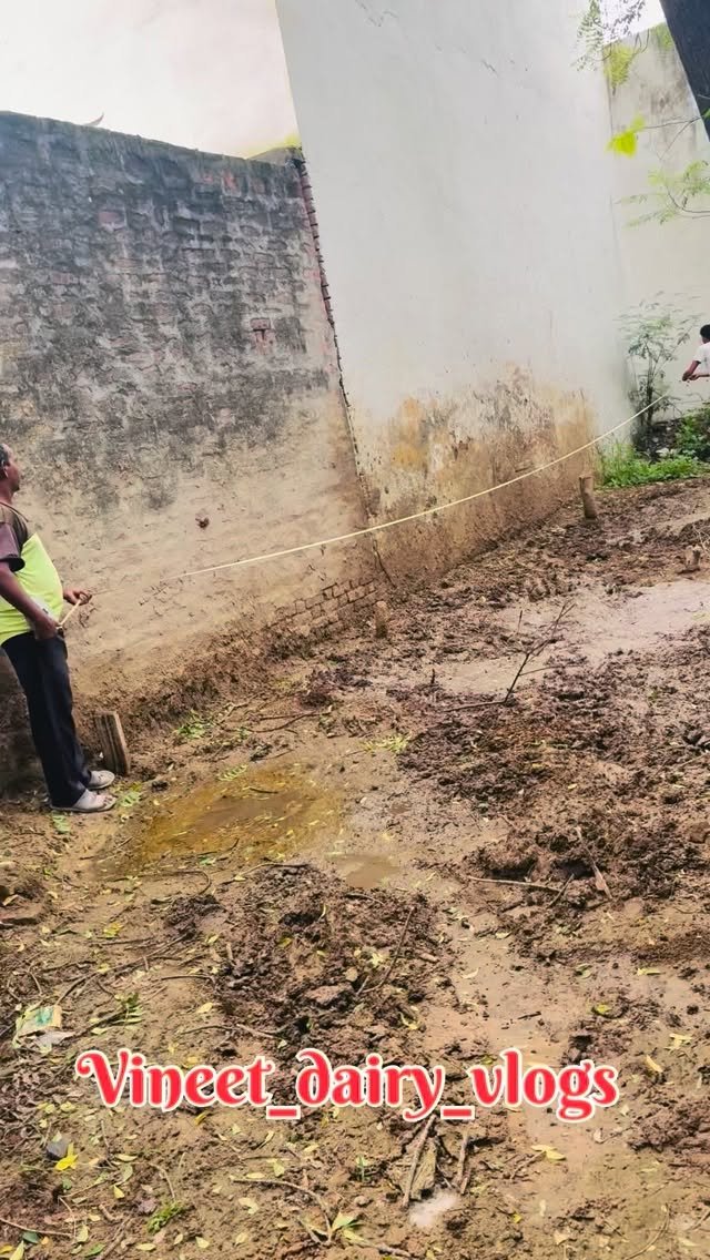 vineet_dairy_vlogs 게시물 이미지: Ye ohi jagah hai ..?
#new #newfarm #farming