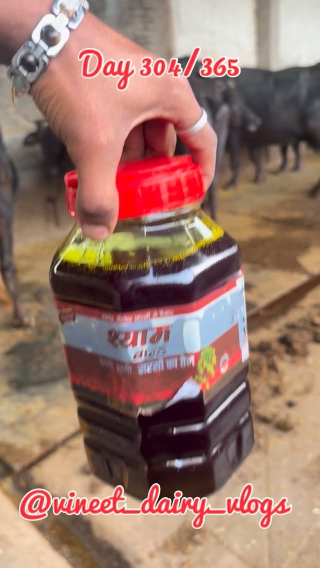 vineet_dairy_vlogs 게시물 이미지: Day 304 of starting my new dairy...