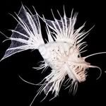 viniorbini 인스타그램 프로필 사진