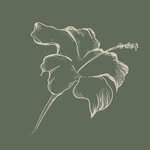 atelie.bomjardim 프로필 사진