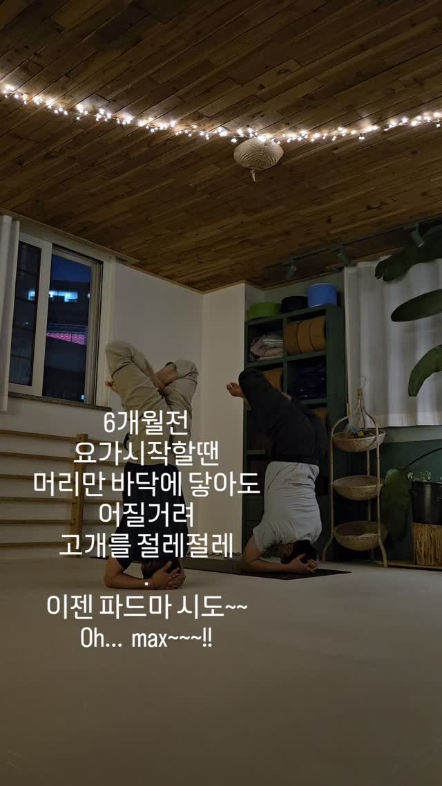 vishunanda_yoga 게시물 이미지: #머리서기
새벽마다 요가로 하루를
시작하다보면
생기는 일
🙏
.
#비슈난다요가 
#노형요가