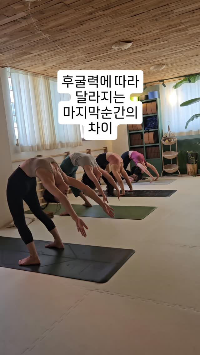vishunanda_yoga 게시물 이미지: #드롭백
.
손과 발과의 거리를
의식해봅니다🙏
.
#비슈난다요가 
#제주요가