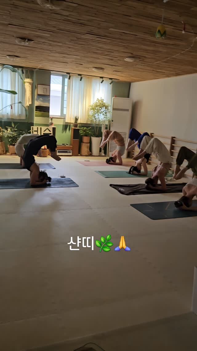 vishunanda_yoga 게시물 이미지: #시르사파다
#하타심화
#비슈난다요가 
#신제주요가