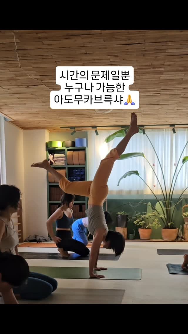 vishunanda_yoga 게시물 이미지: #분위기
가 중요합니다.
영상으로 보는것과 현장에서 체험하며 함께 하는 건
완전히...