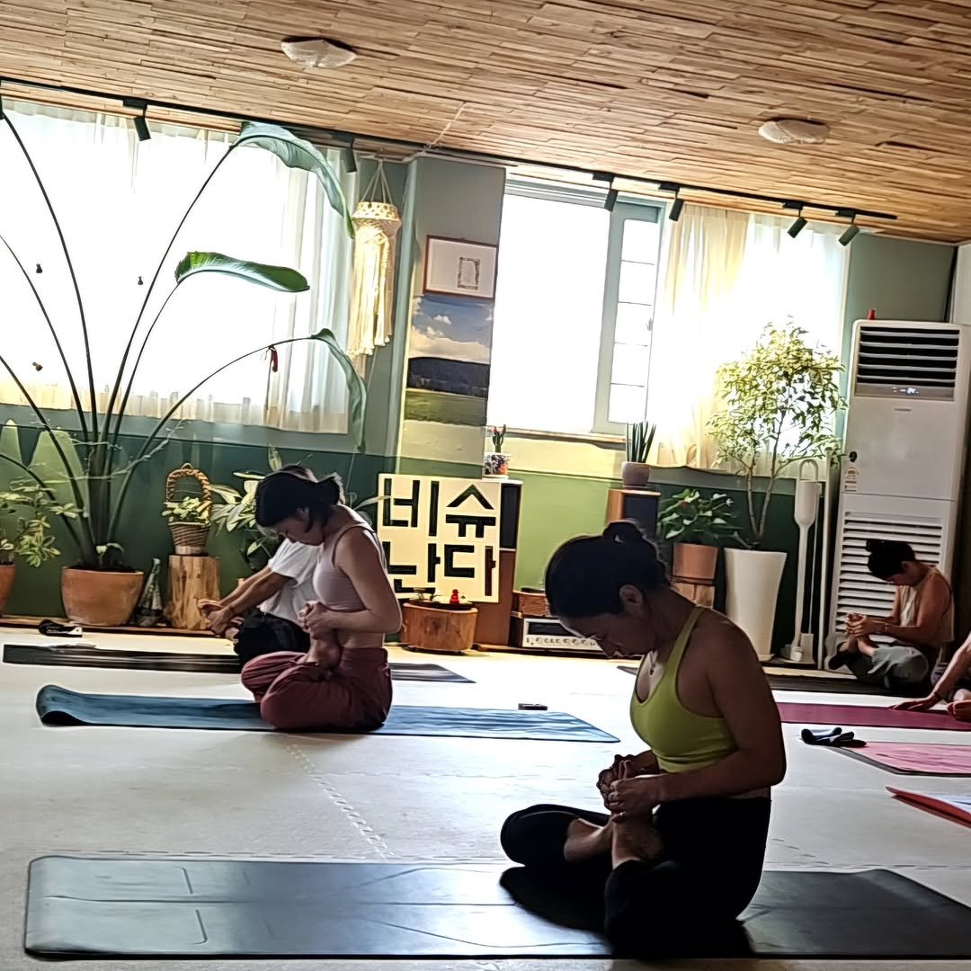 vishunanda_yoga 게시물 이미지: #비슈난다요가 
🙏