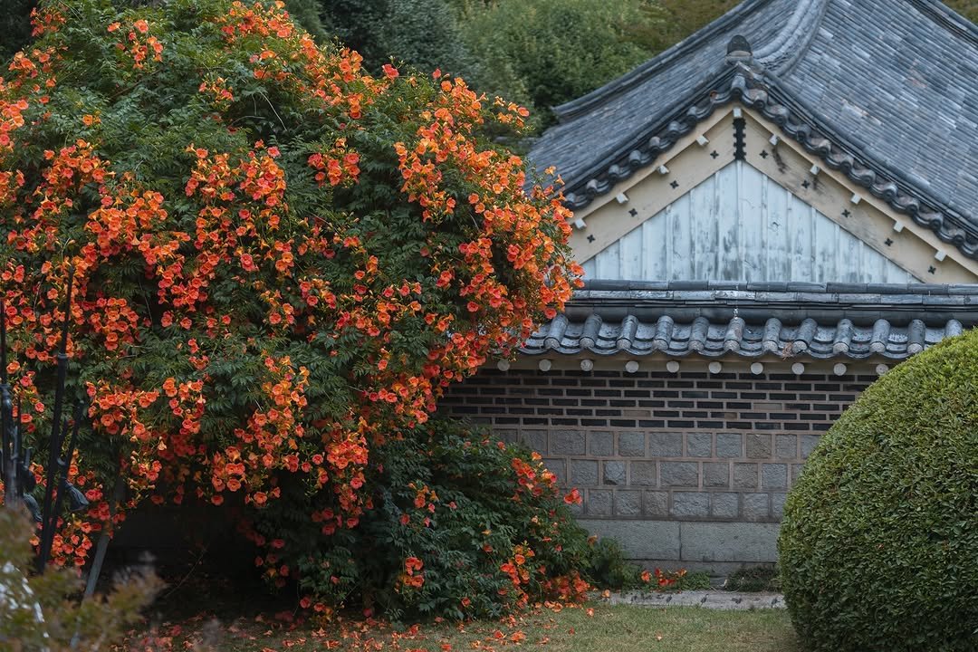visitbusan.en 게시물 이미지: Looking for a spot to enjoy Korea’s iconic...