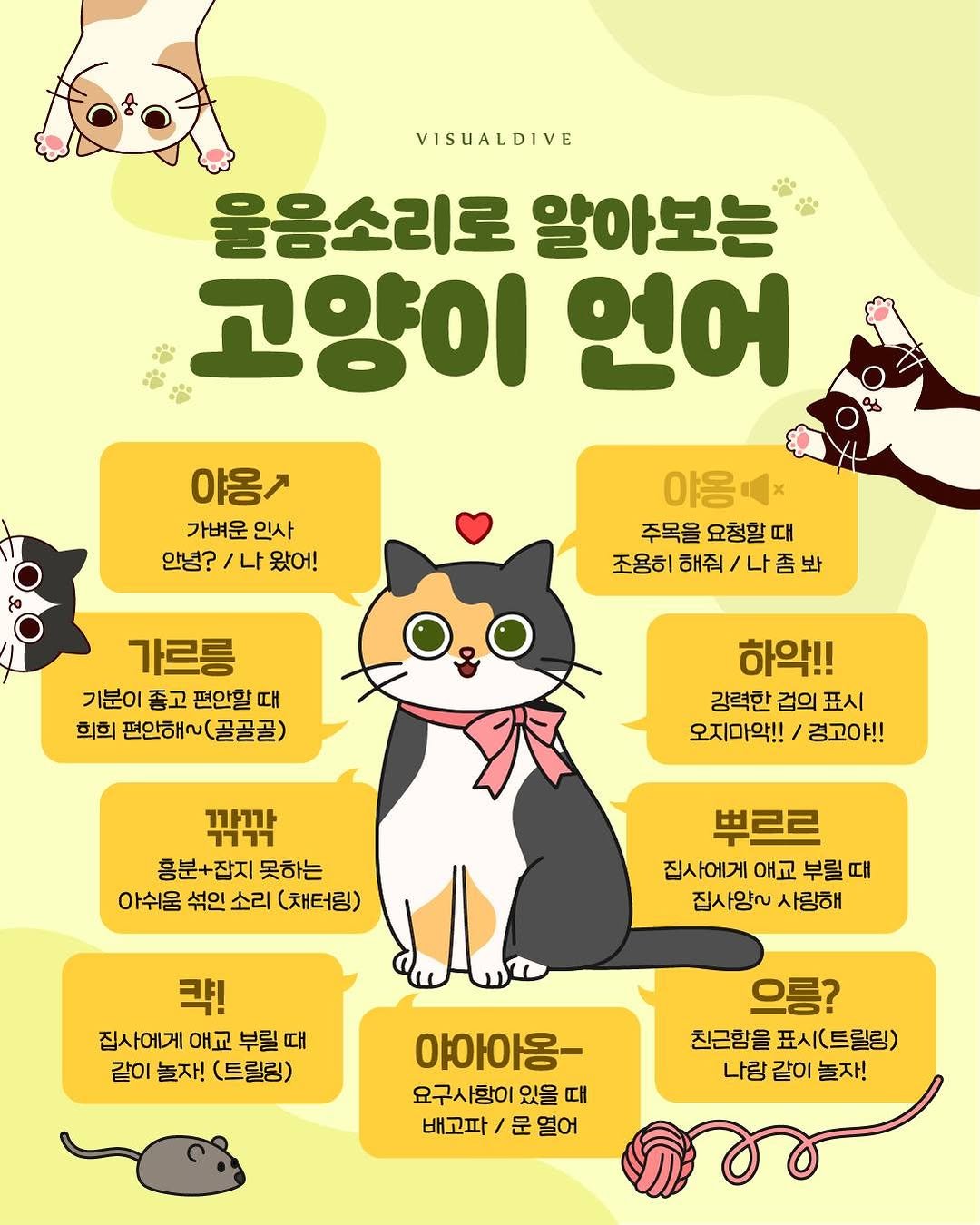 visualdive 게시물 이미지: 집사야~ 알아들었지? 🐈‍⬛

#냥이 #고양이 #울음소리 #언어 #집사 #냥집사 #행동