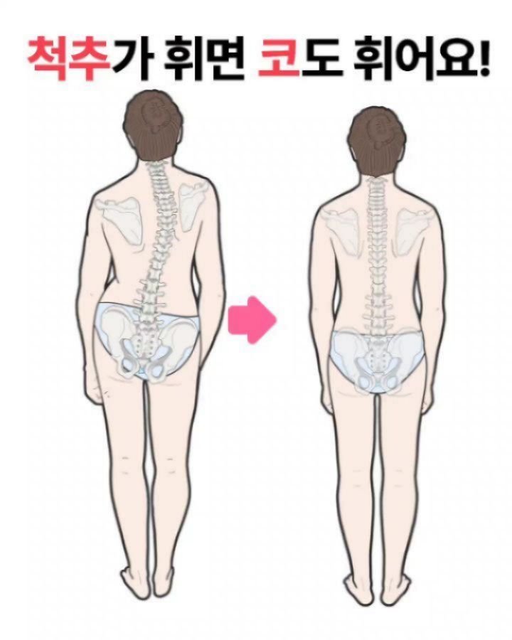 viveza_mins 게시물 이미지: ✅️ 셀리온 온열척추안마베트 구경하실 분들은 댓글에 '민스' 써주시면  디엠으로...