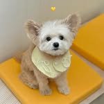 no9uri_zip 프로필 사진