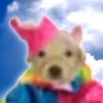 eatpoopsleepeat 프로필 사진