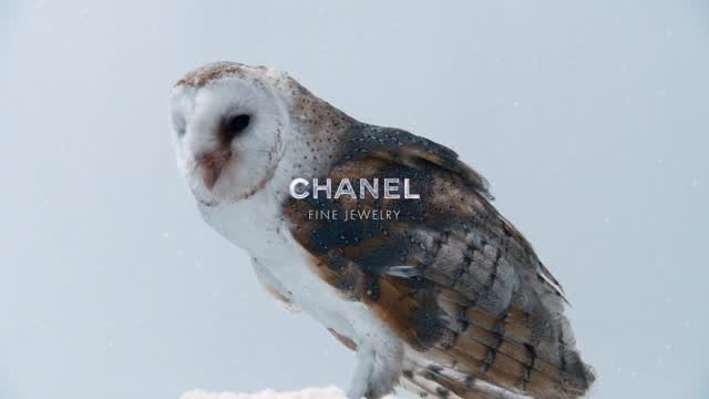 voguekorea 게시물 이미지: #광고
샤넬이 홀리데이 시즌을 맞아 모나 투가드(Mona Tougaard)와 레베카...