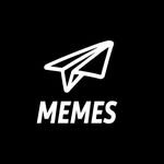 sendmemes 프로필 사진