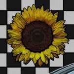designmiii 프로필 사진