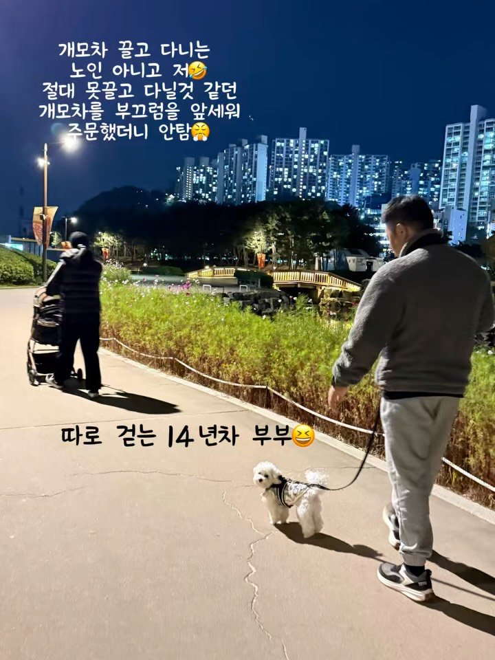 vovo_home_cook 게시물 이미지: 14년차 부부 저희만 이렇나요ㅋㅋㅋ
개모차는 또 언제탈려나요?

만두 키우다보니...