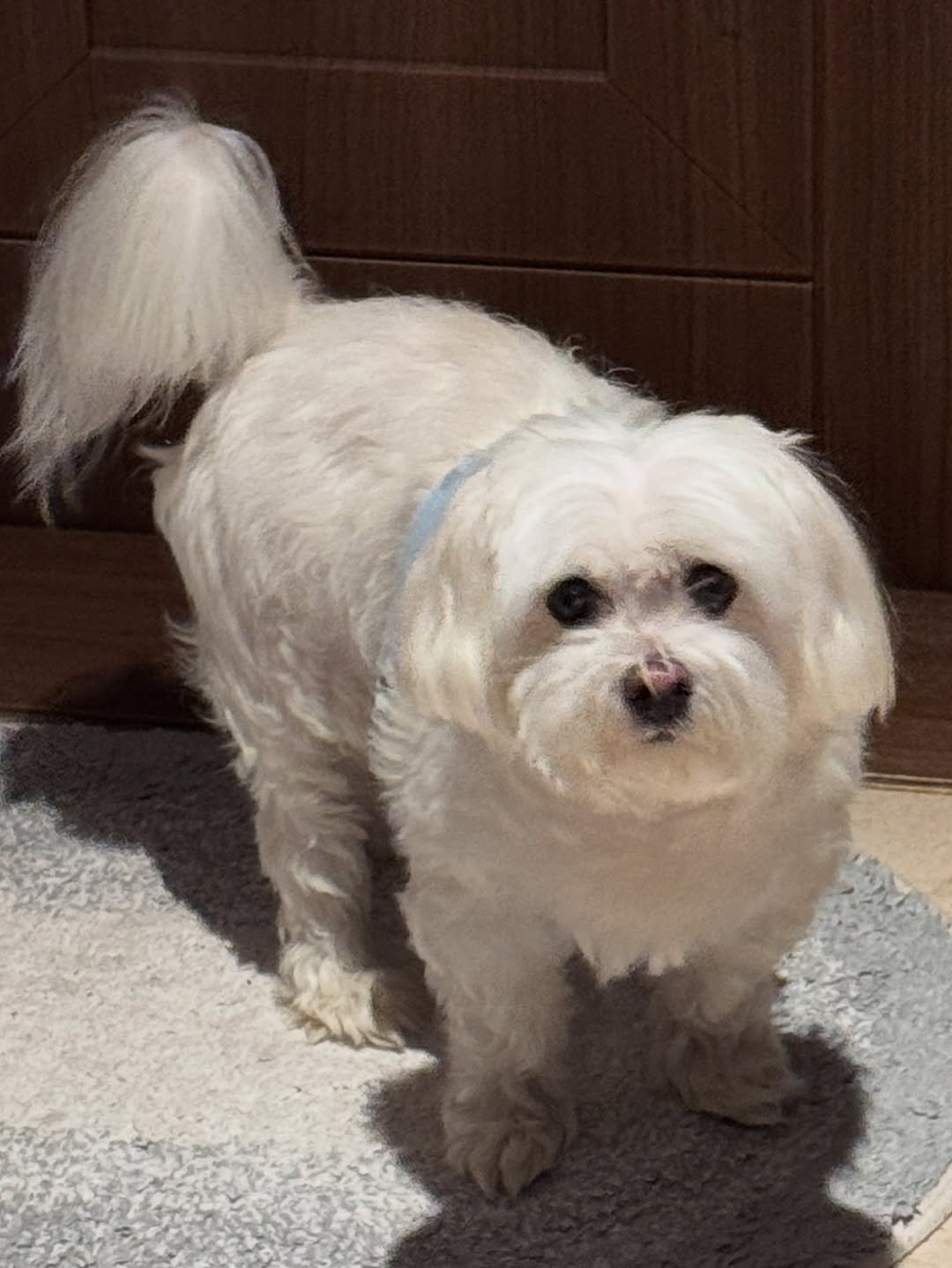 Photo by 웅이🐶 on October 08, 2025.