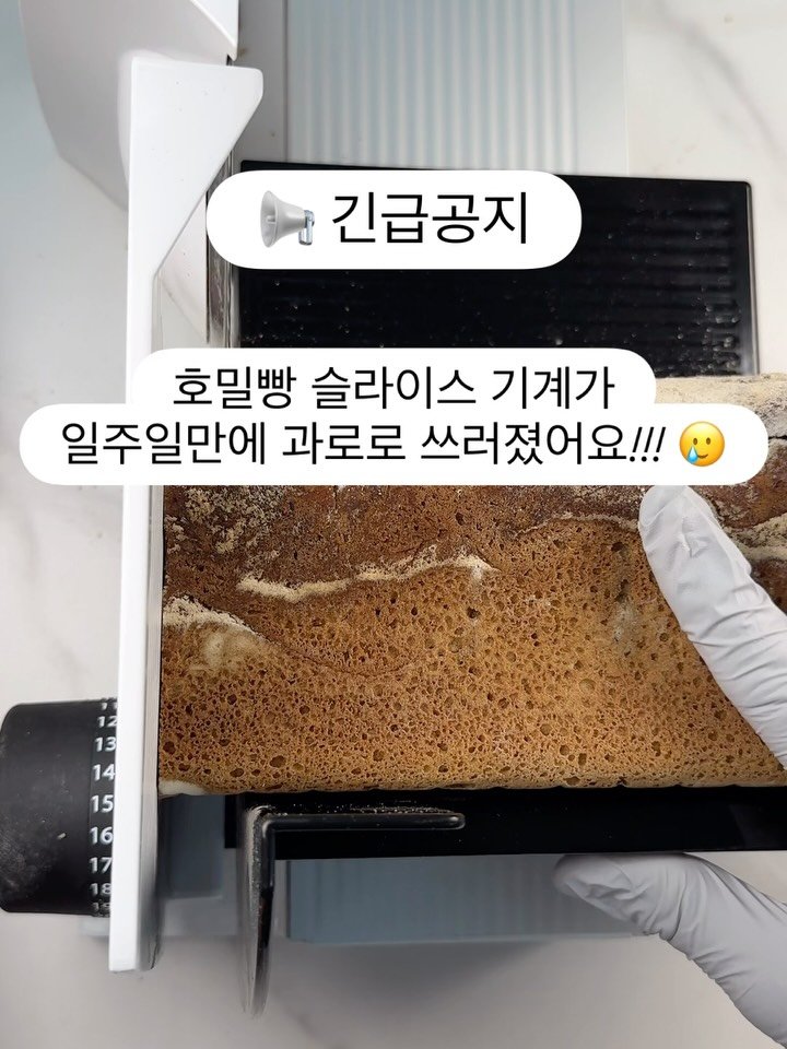wadangtang_lab 게시물 이미지: 📢 긴급공지입니다

호밀빵 슬라이스 기계가 과로로 쓰러졌어요 🥲
급하게 중고 기계를...