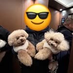 eiei_eibai 프로필 사진