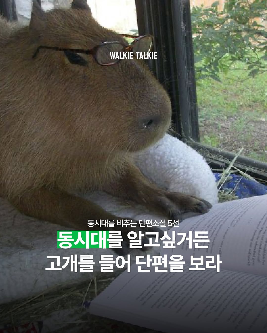 Photo by walkie talkie | 워키토키 매거진 on November 06, 2025. May be a meme of rodent and text that says 'WALKIE WALKIETALKIE TALKIE 동시대를 를비추는단편소설5선 5선 비추는 단편소설 동시대를 알고싶거든 고개를 들어 단편을 보라'.