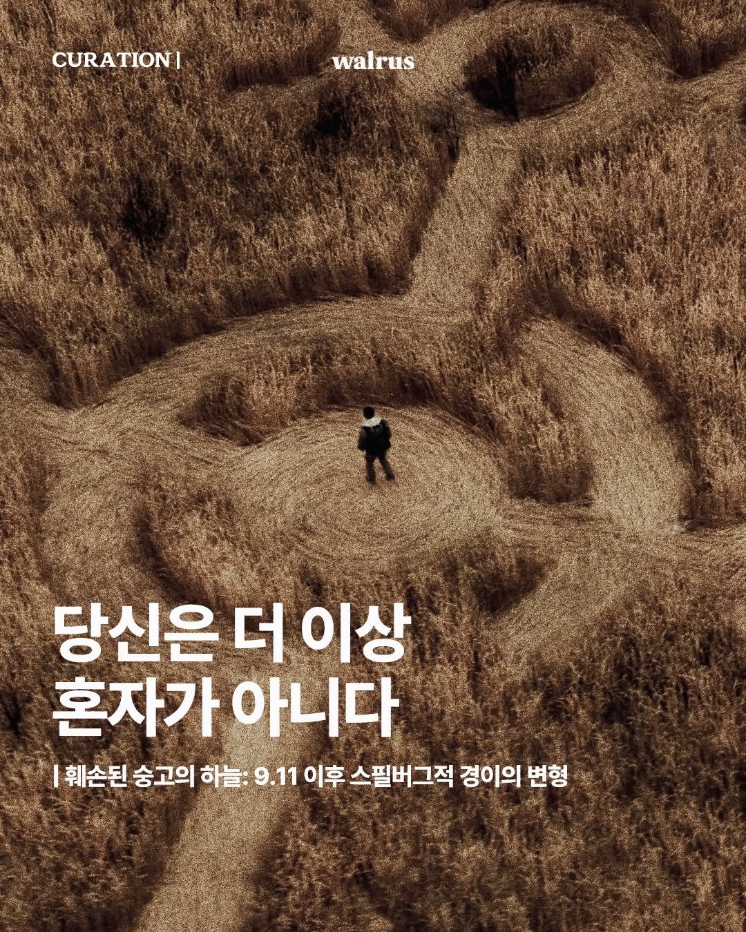 walrus_magazine 게시물 이미지: Curation | 디스클로저 데이
훼손된 숭고의 하늘: 9.11 이후 스필버그적 경이의 변형