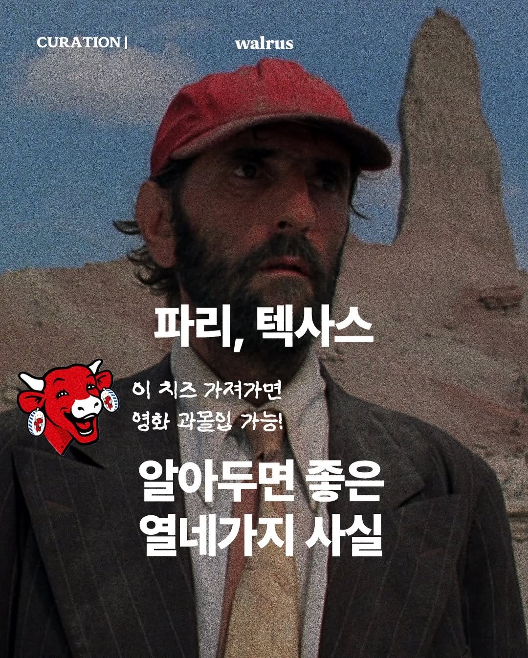 Photo by 왈러스 walrus on March 03, 2026. May be an image of poster and text that says 'CURATION CURA walrus 파리, 텍사스 이 치즈 가져가면 형화 과몰림 가능! 알아두면 좋은 열네가지 사실'.