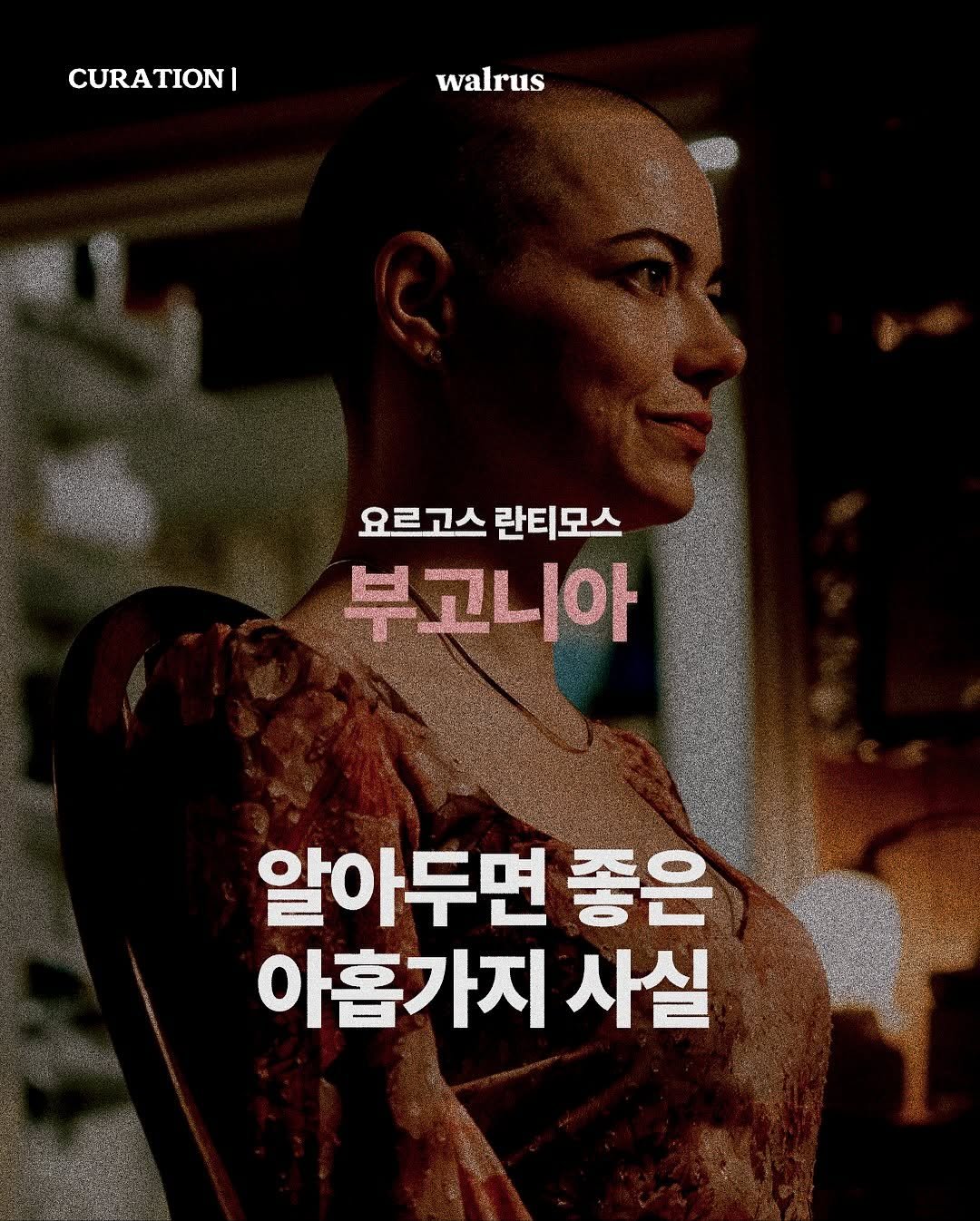 Photo by 왈러스 walrus on November 01, 2025. May be an image of one or more people, poster, magazine and text that says 'CURATION| TION walrus 요르고스 요르고스란티모스 란티모스 부고니아 របបន្ជា 號 알아두면 좋은 아홉가지 사실'.