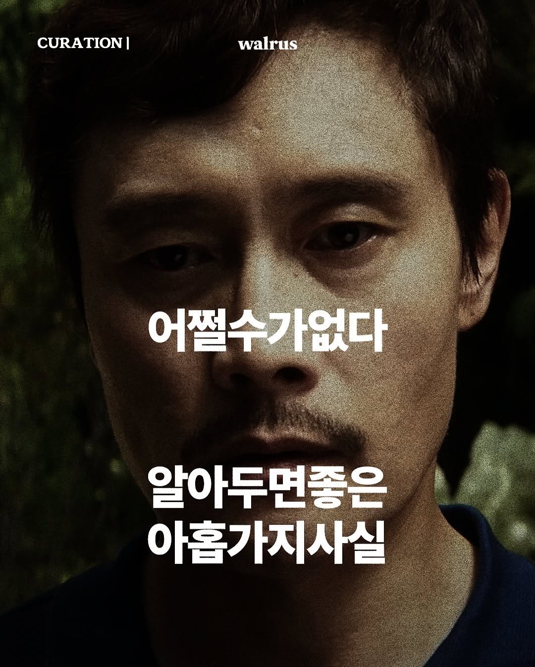 Photo by 왈러스 walrus on August 04, 2025. May be an image of 1 person, poster and text that says 'CURATION| TION| walrus 어쩔수가없다 알아두면좋은 아홉가지사실'.