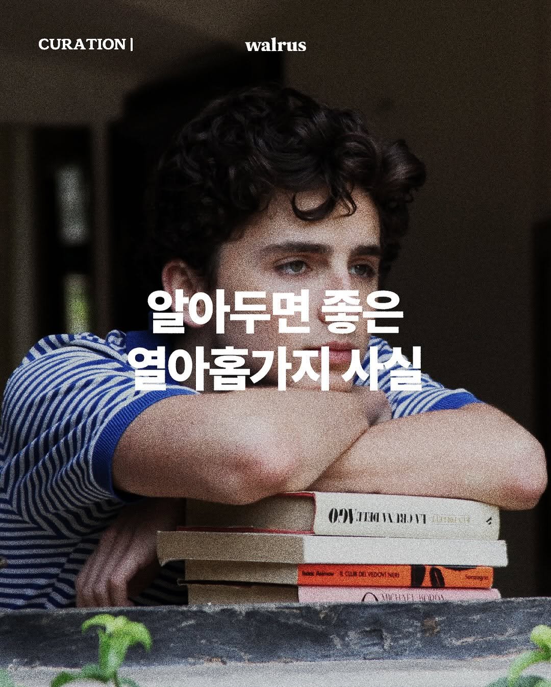 Photo by 왈러스 walrus on August 06, 2025. May be an image of 1 person, poster, magazine, book and text.